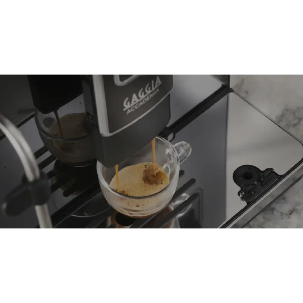 Gaggia Academia Steel