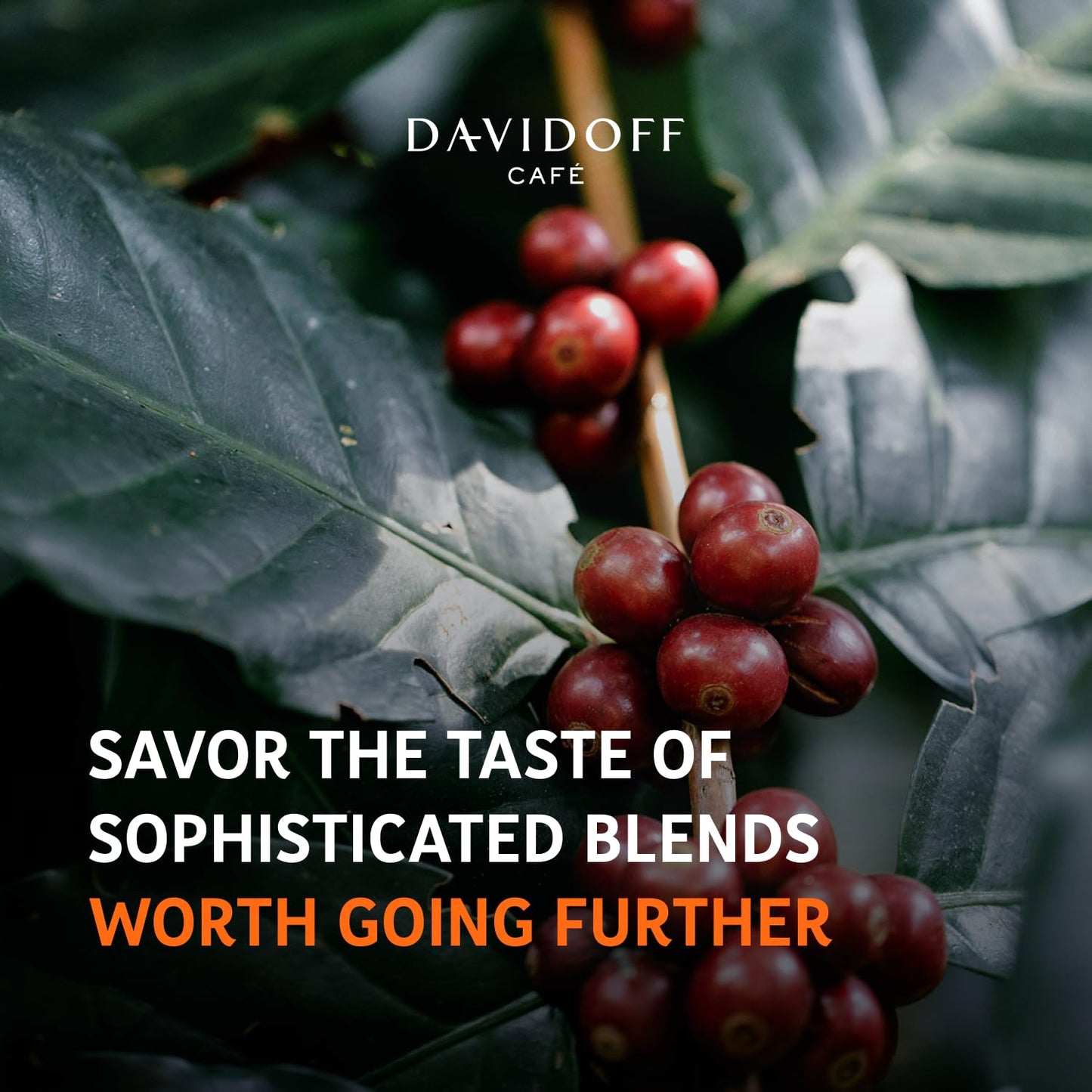 Davidoff Fine Aroma Instant Coffee - 100g