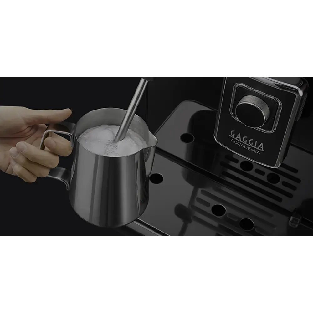 Gaggia Academia Steel