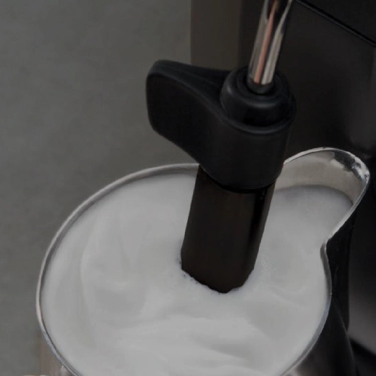 Gaggia Besana CMF BK
