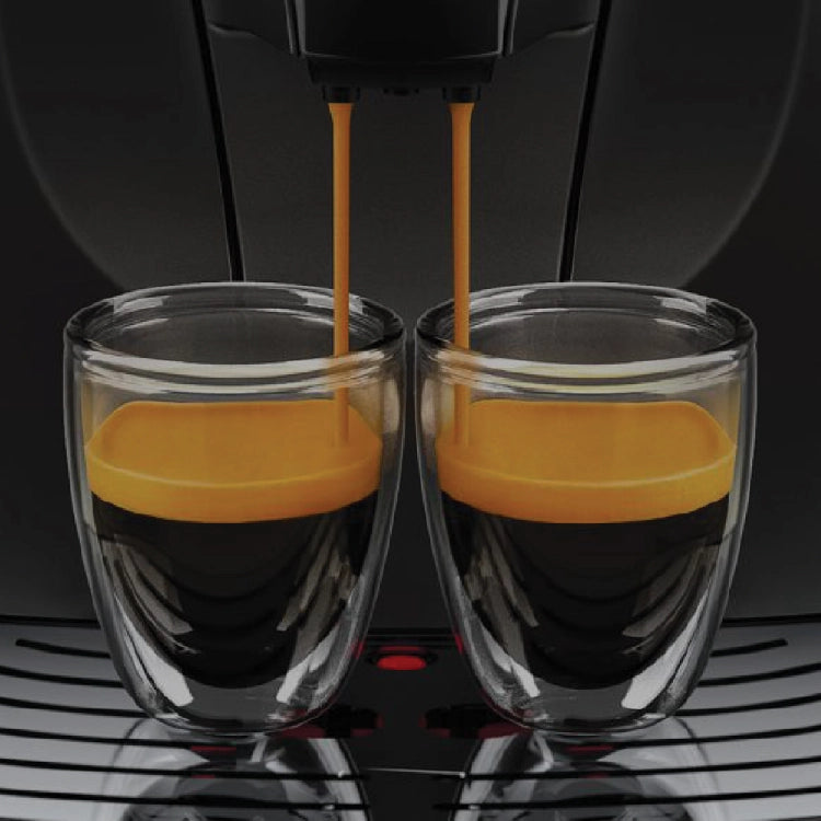 Gaggia Besana CMF BK