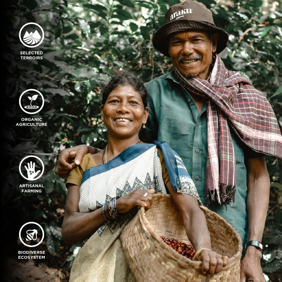 Araku Coffee Beans - 250g Pouch ( Signature, Grand Reserve, Micro Climate, Selection & Summer Edit )